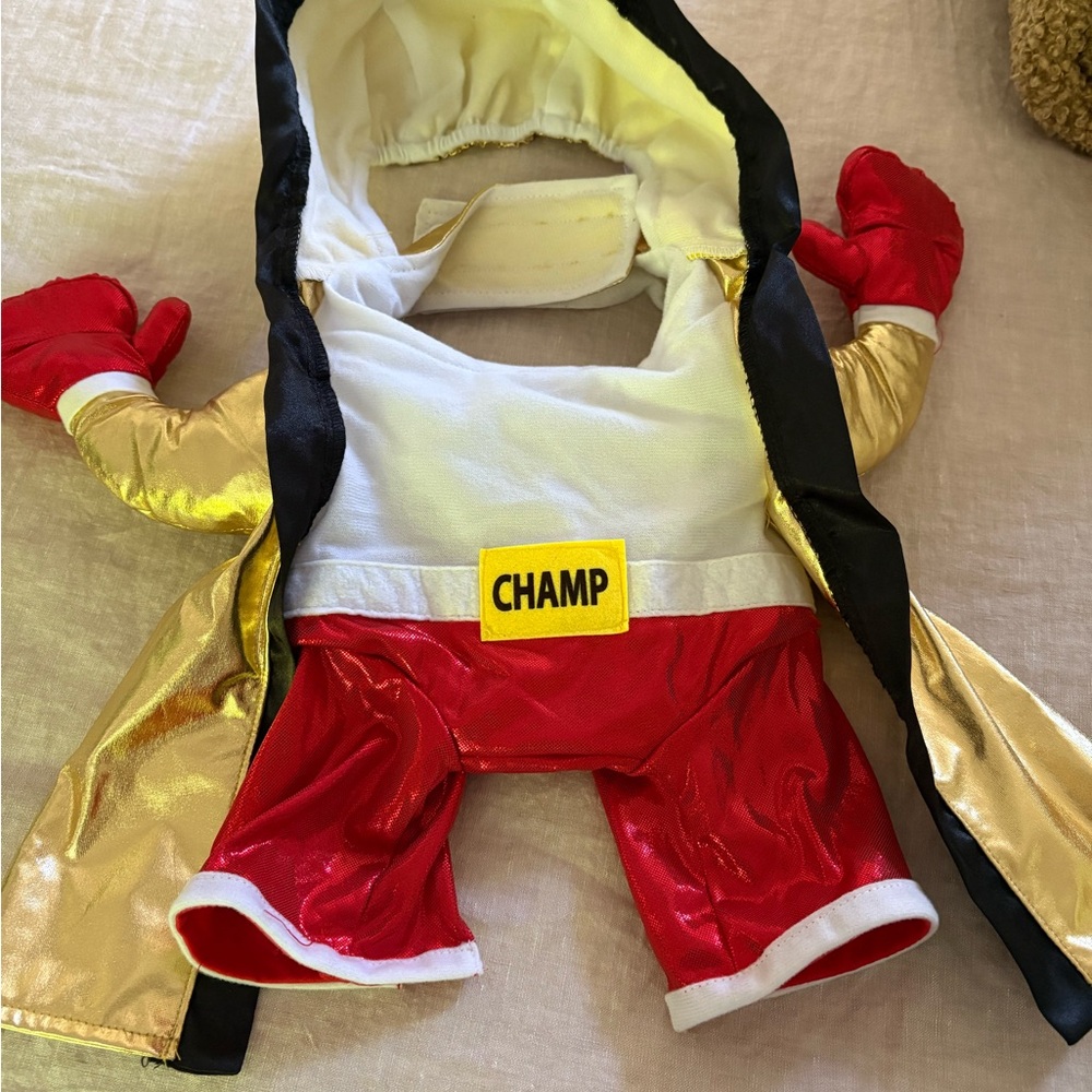 Gold and Red Dog Champion Costume